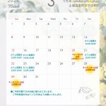 🎎3月のスケジュール🎎